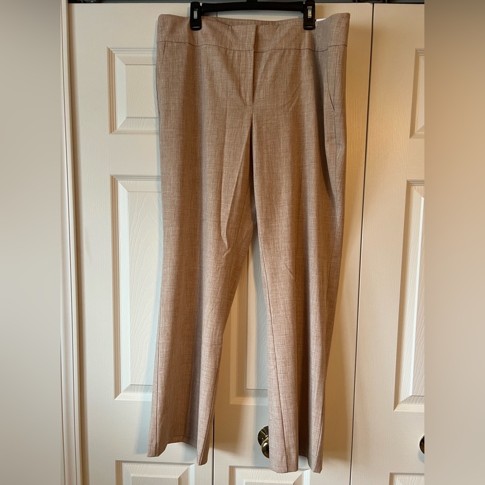 Ann Taylor Dress Pant
